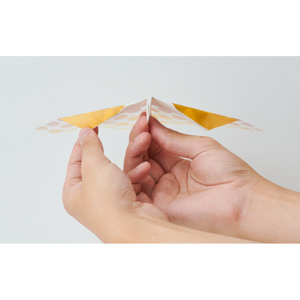 Papillon Origami Airplanes - Image 2